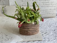 Image 5 of Spun cotton strawberry basket 