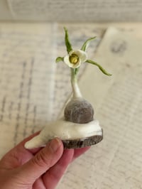 Image 5 of Spun cotton snowdrop bulb