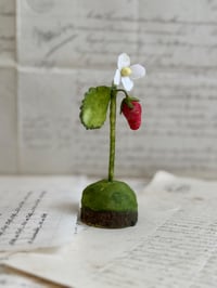 Image 5 of Spun cotton strawberry and flower