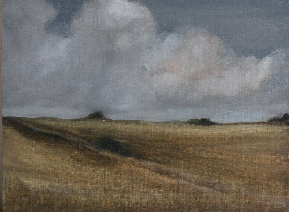 Image of Paysage sous un ciel nuageux