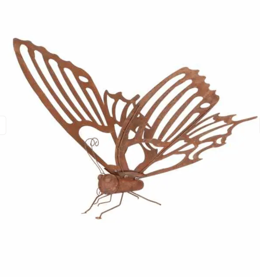 Image of Butterfly Large 