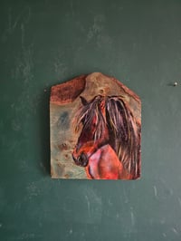 Image 1 of Highland Pony