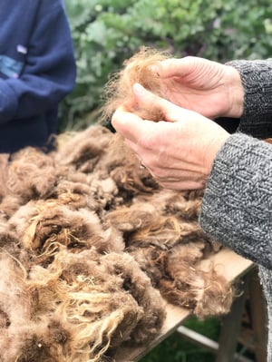 Image of ULD håndspinding, filtning og plantefarvning, aftenskole 5 torsdage i efteråret 2026