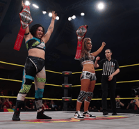 Image 2 of 'Color Block' (Mania week 2024) Gear