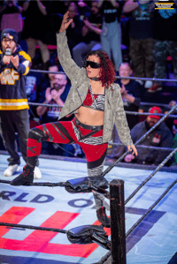 'Year Of The Snake' Ring Worn Jacket