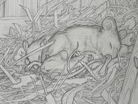 Image 1 of  "Not a creature was stirring, not even a mouse…”