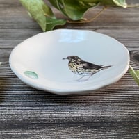 Image 5 of Thrush Handmade Ceramic Dish