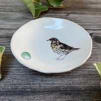 Image 4 of Thrush Handmade Ceramic Dish