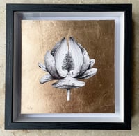 Image 1 of Box Frames