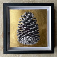 Image 3 of Box Frames