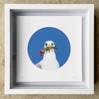 Image 4 of Box Frames