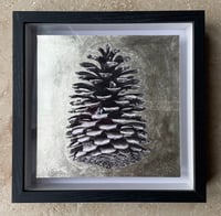 Image 6 of Box Frames