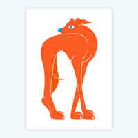 Image 1 of Big Dog Orange