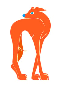 Image 2 of Big Dog Orange