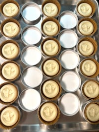 Image 3 of Travel Size Solid Lotion Bars 