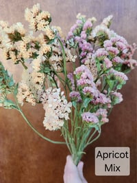 Image 1 of Dried Statice