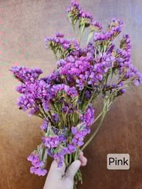 Image 2 of Dried Statice