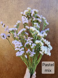 Image 3 of Dried Statice