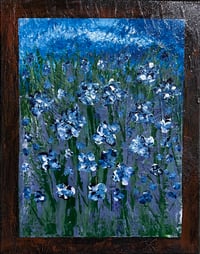 Image 1 of Blue Whisper Meadow