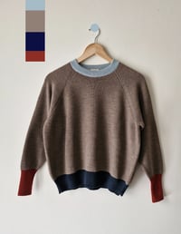Image 1 of Copy of NATURALLY DYED MERINO SWEATER _ multicolor PARSLEY