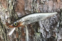 Image 5 of Custom Airbrushed Jerkbait TA MAXX 110 8834