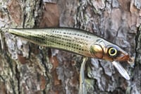 Image 6 of Custom Airbrushed Jerkbait TA MAXX 110 8834