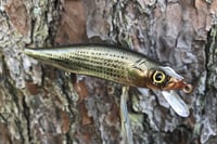 Image 7 of Custom Airbrushed Jerkbait TA MAXX 110 8834