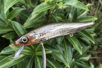 Image 9 of Custom Airbrushed Jerkbait TA MAXX 110 8834