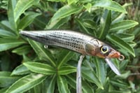 Image 10 of Custom Airbrushed Jerkbait TA MAXX 110 8834