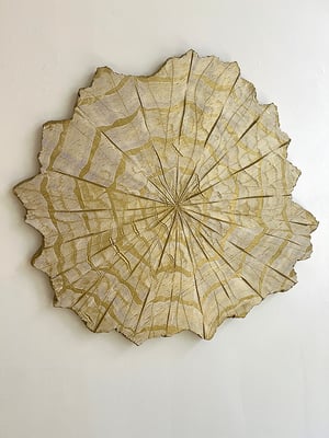 146. Sculptural Painting