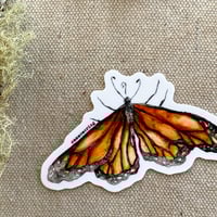 Image 1 of monarch butterfly sticker