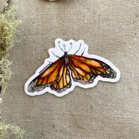Image 2 of monarch butterfly sticker