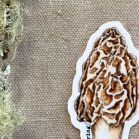 Image 2 of morel mushroom sticker