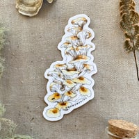 Image 1 of golden oyster sticker