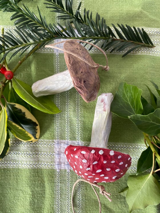 Image of Brown Mushroom