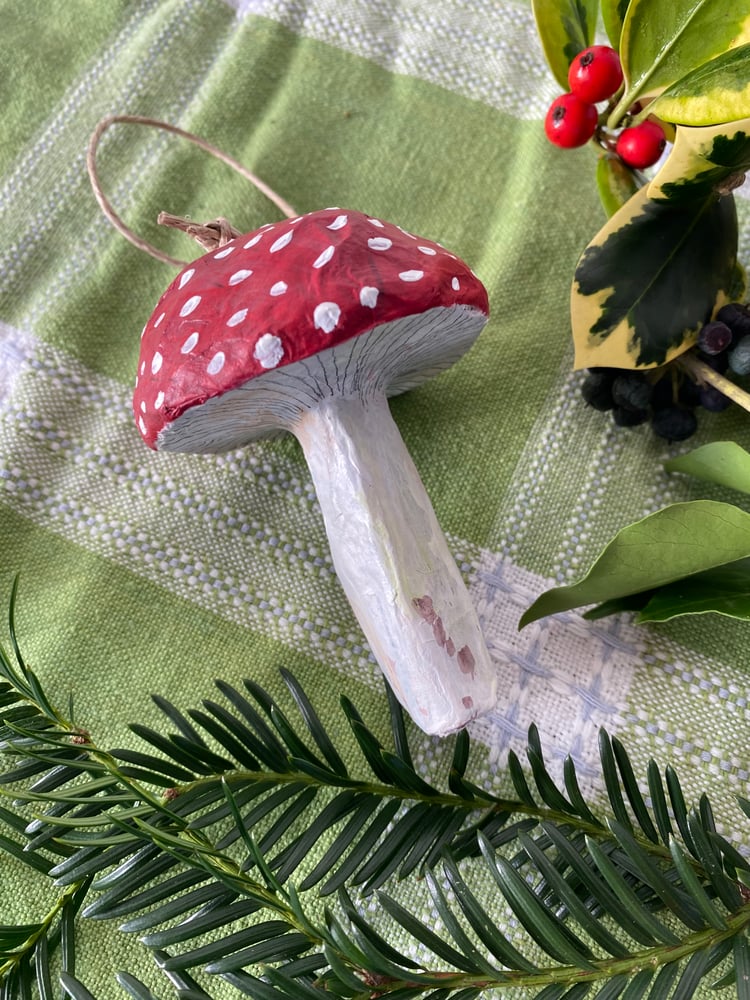 Image of Red Toadstool