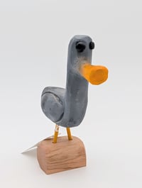 Image 2 of Grey Baby Gull 