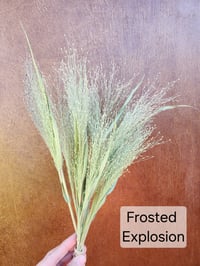 Image 1 of Dried Grasses