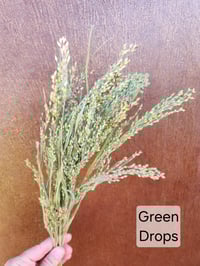 Image 2 of Dried Grasses