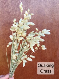 Image 3 of Dried Grasses