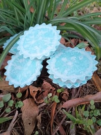 Image 1 of Bon Voyage Wax Melts 6pk