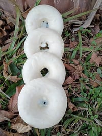 Image 3 of Sugar Cookie DoughNuts Wax Melts 4pk 