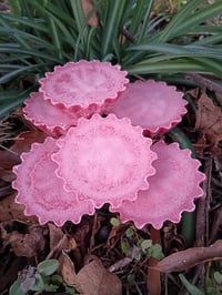 Image 1 of Hot Apple Pie  Wax Melts 6pk 