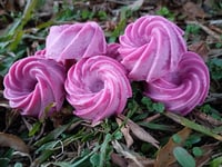 Image 1 of Red Velvet Cake Wax Melts 8pk