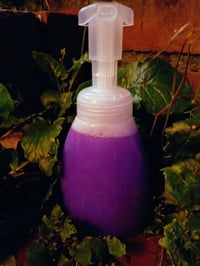 Image 1 of Youth Be Mine Foaming Hand Soap 