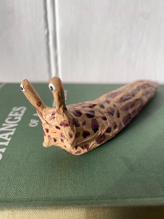 Image of Lucky slug 1