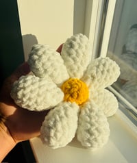🌼 Daisy Plush