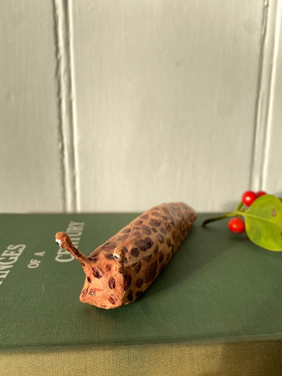 Image of lucky slug 6