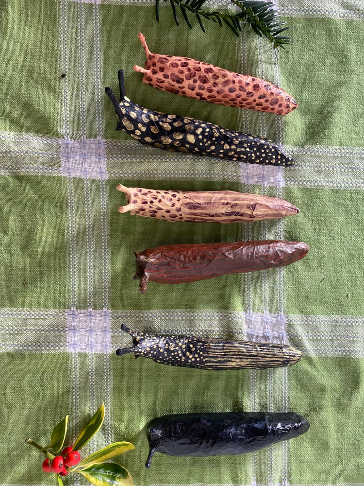 Image of Lucky slug 8