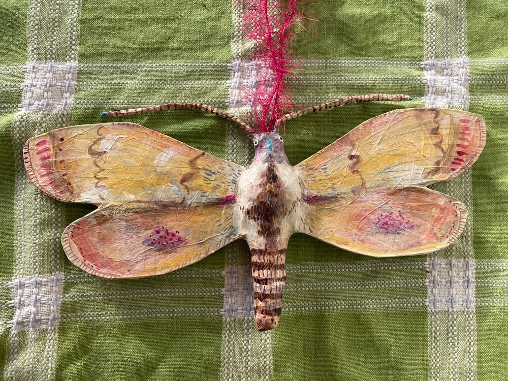 Image of Lovely Moth